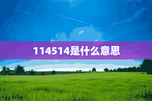 114514是什么意思